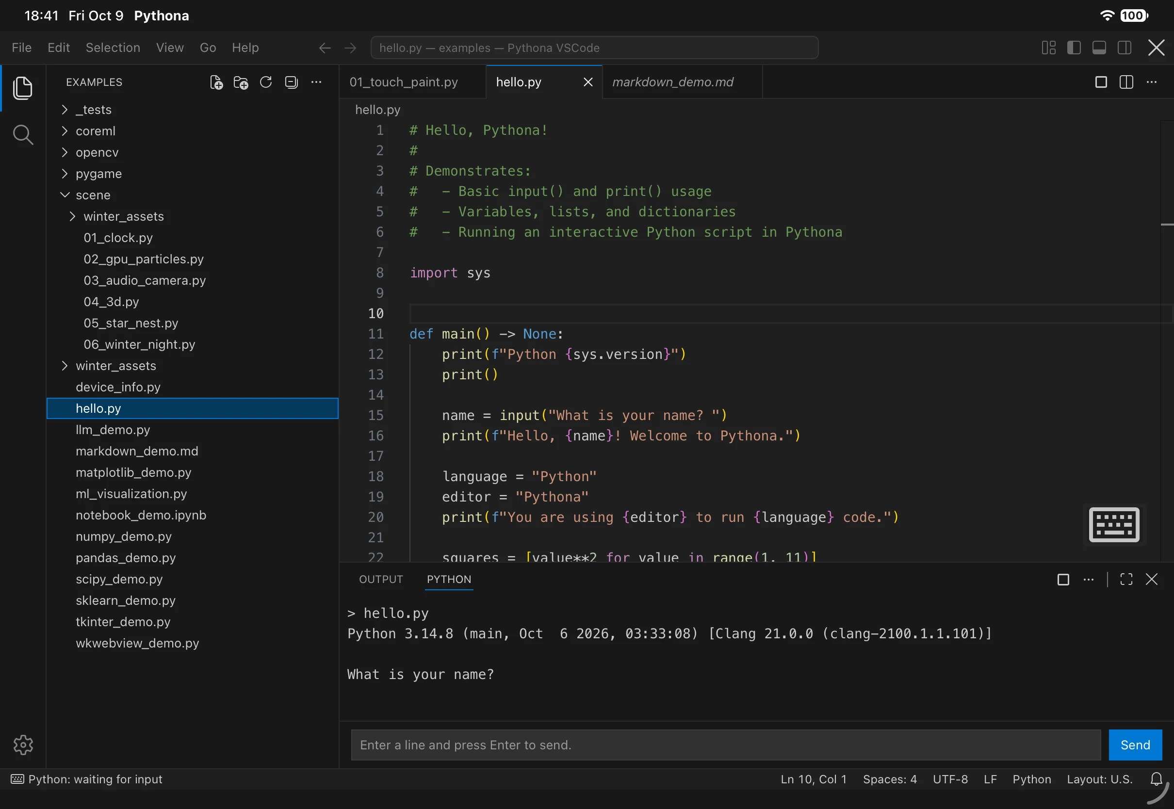 iPad 上的 Pythona VSCode，显示文件列表、Python 编辑器和输出面板。